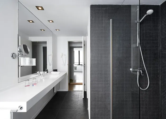 阿里玛拉酒店 4* 巴塞罗那