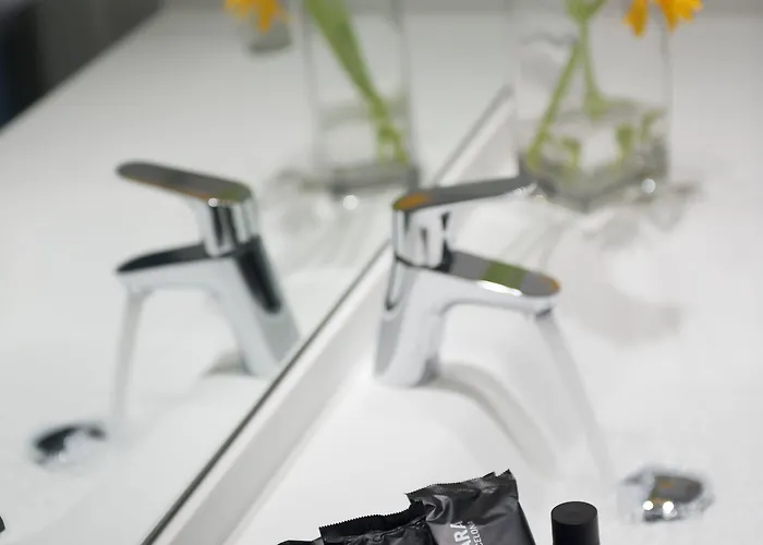 阿里玛拉酒店 酒店 4*